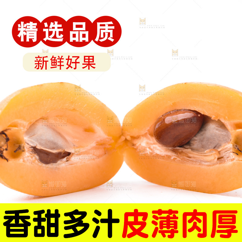白底上的枇杷