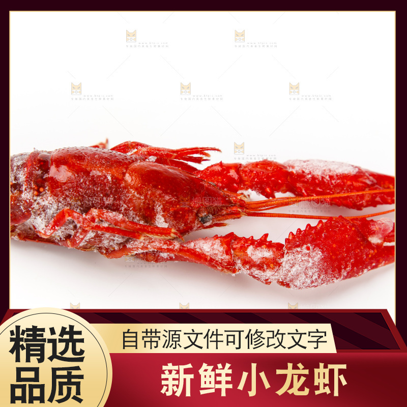 白底上的小龙虾