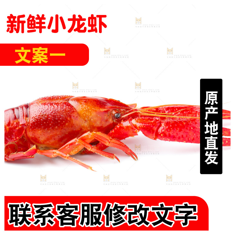 白底上放着秘制小龙虾