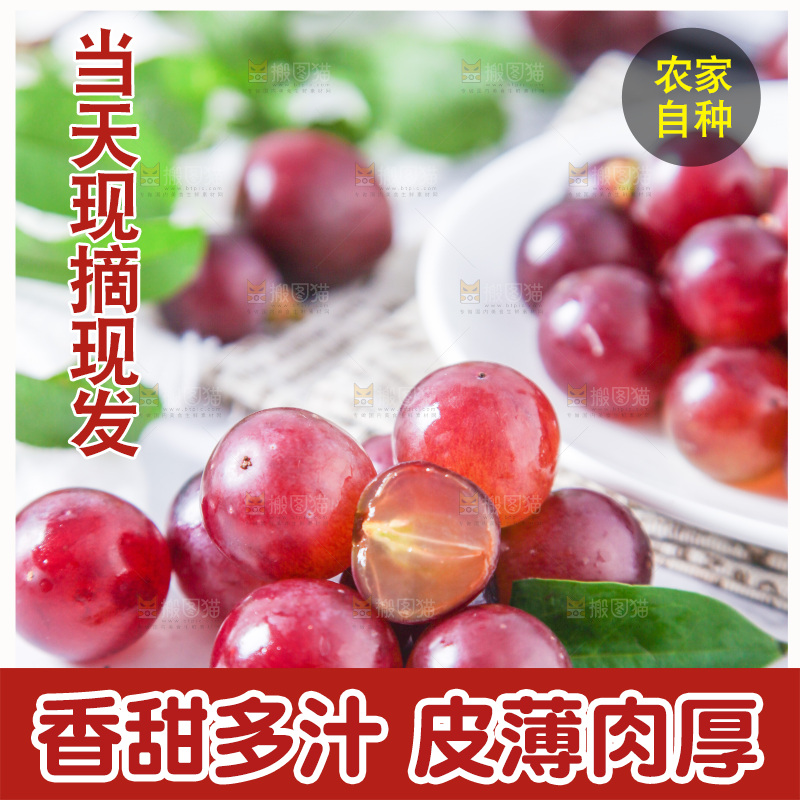 白底上放着葡萄