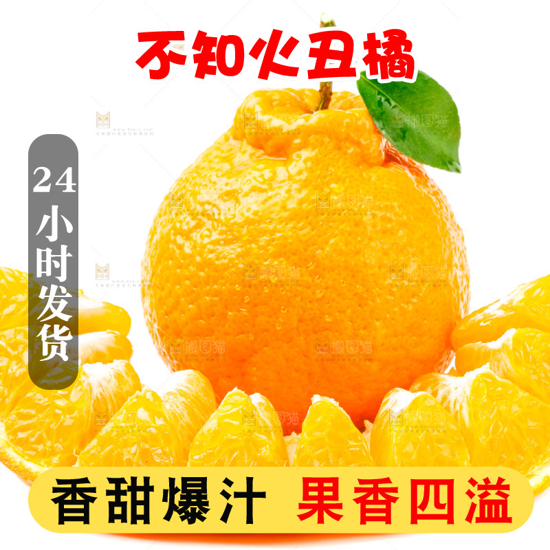 白底上的丑柑