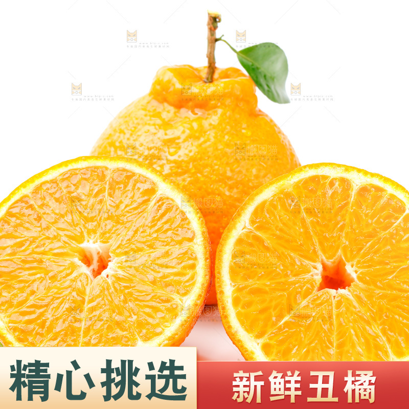 白底上的丑柑
