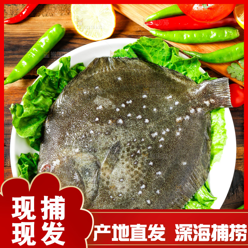 盘子里装着多宝鱼