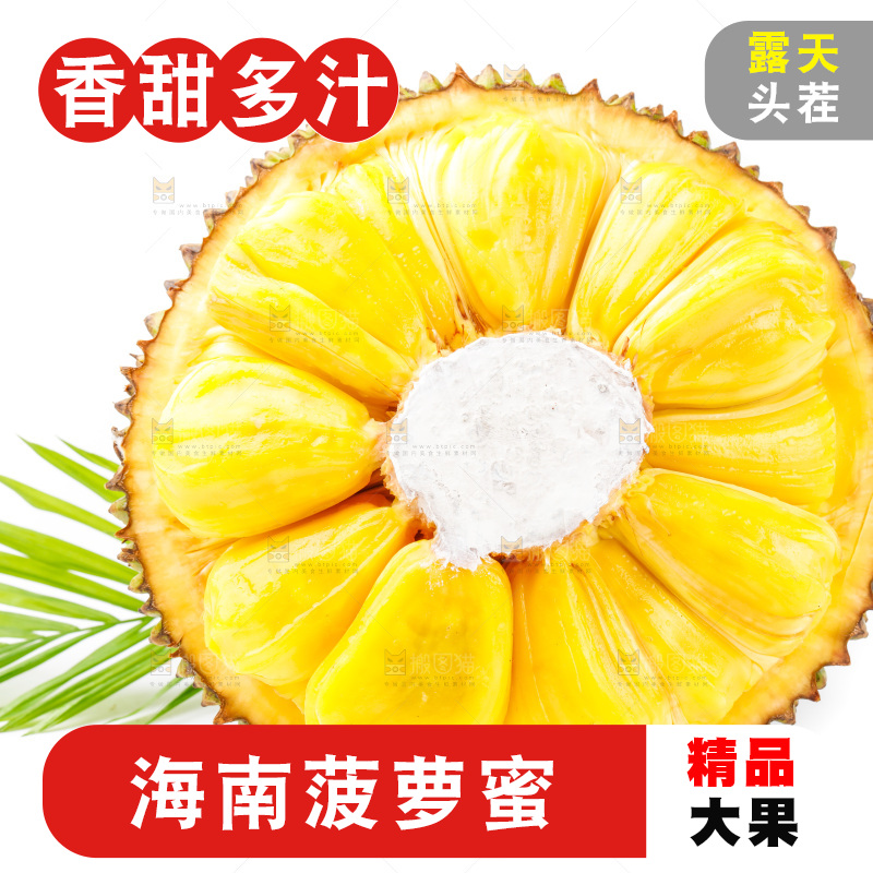 白底上的海南菠萝蜜