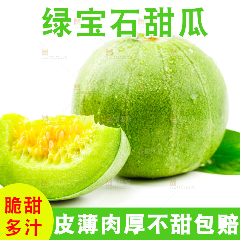 浅底上的山东绿宝石甜瓜