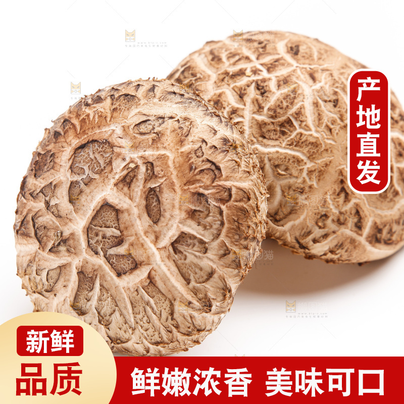 白底上放着花菇