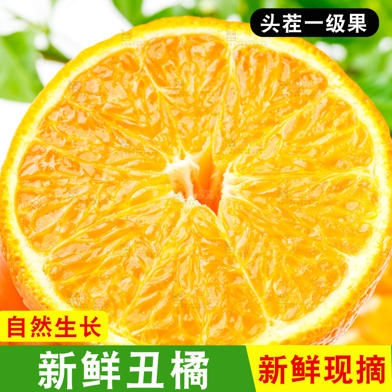白底上的丑柑