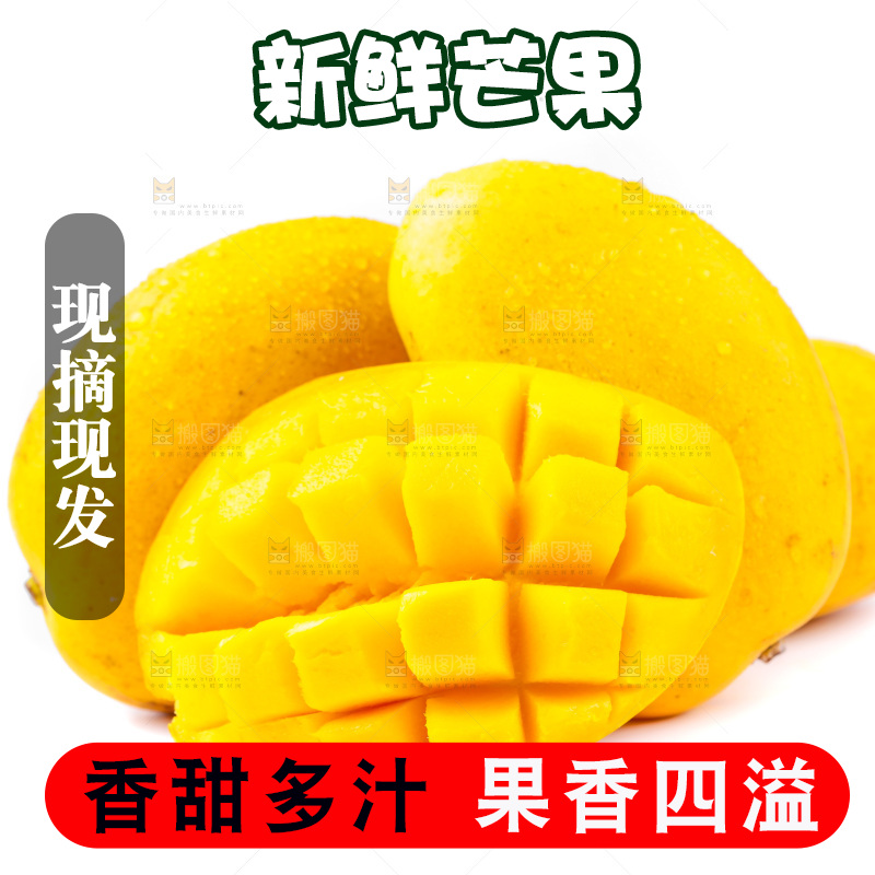 白底上的小台芒