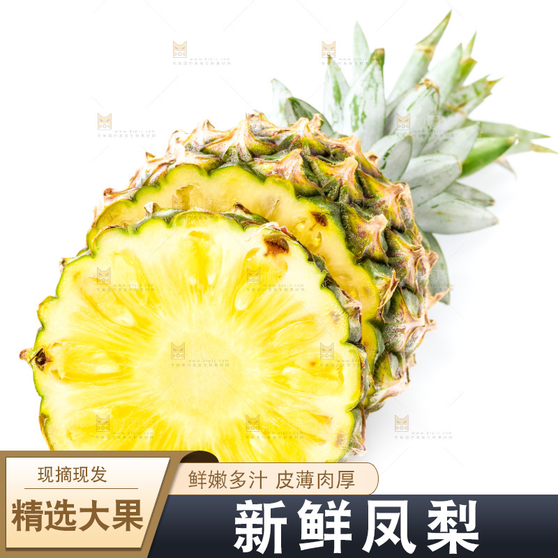 浅底上的海南凤梨