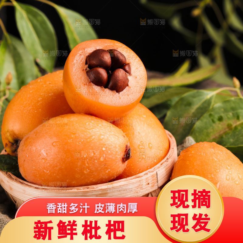深底上的攀枝花枇杷