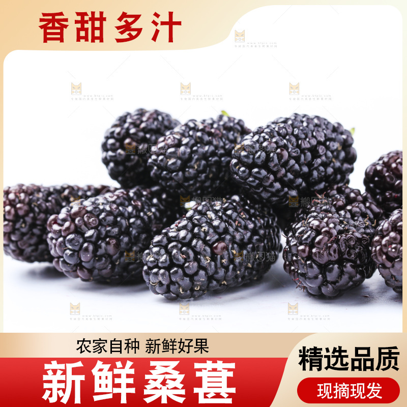 白底上的桑枣