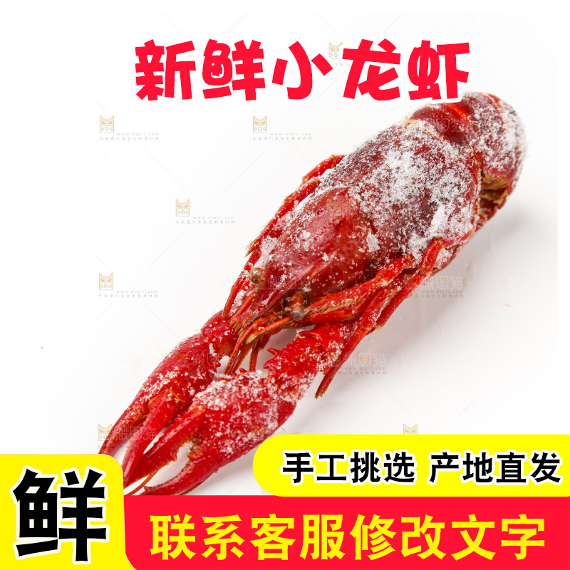 白底上的小龙虾