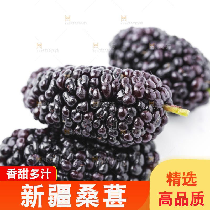白底上的桑枣