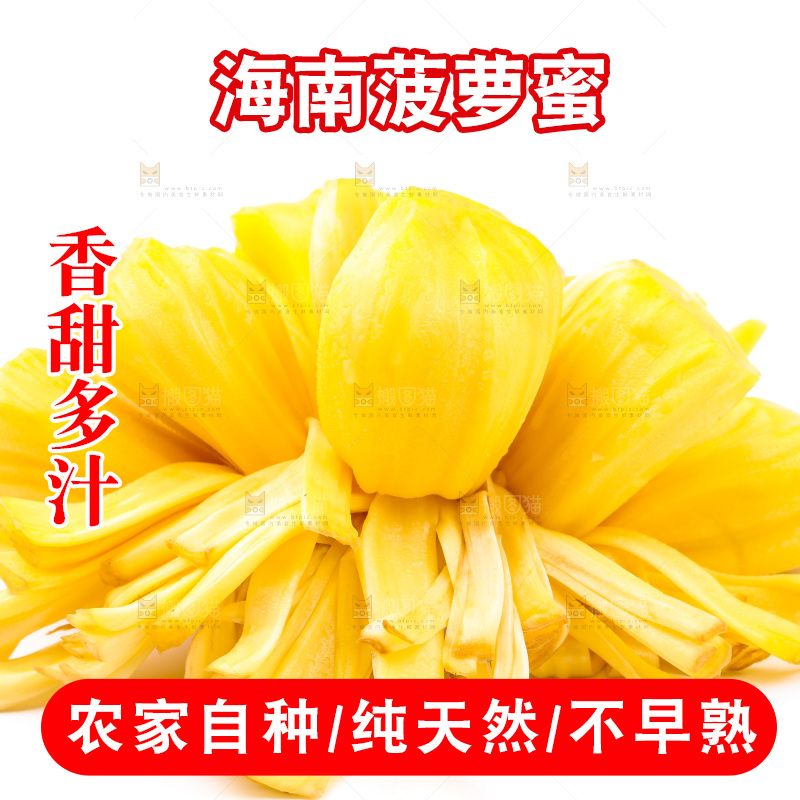 浅底上的海南菠萝蜜