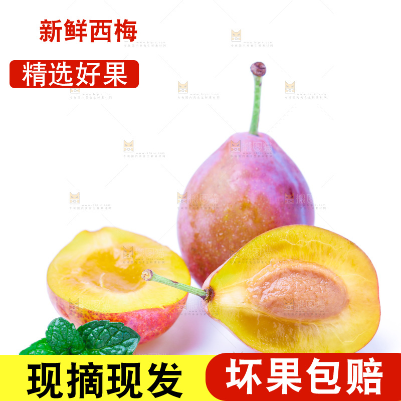 浅底上的新疆西梅
