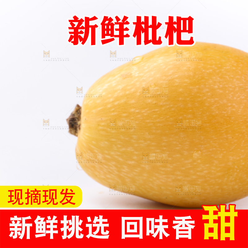 白底上的枇杷
