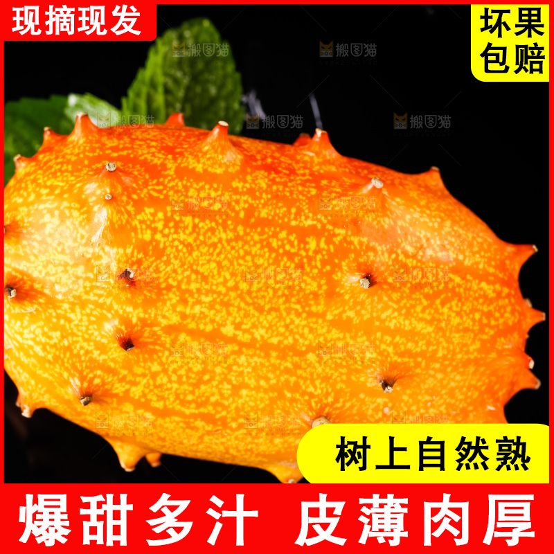 黑底上放着刺角瓜