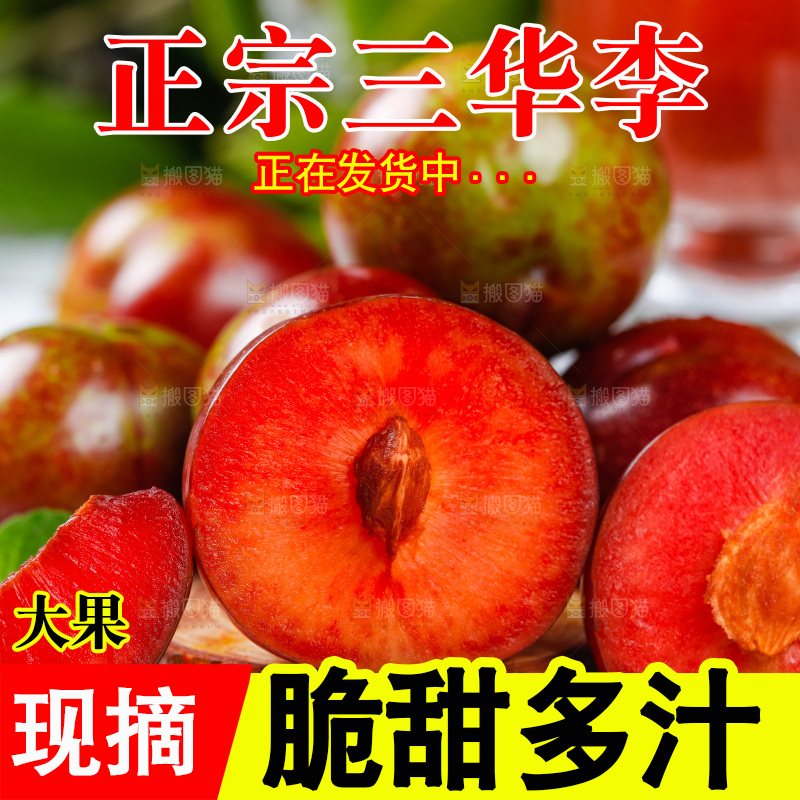 格子底上摆放着红心李子
