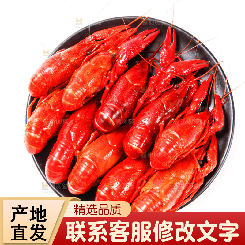 盘子里的清蒸小龙虾