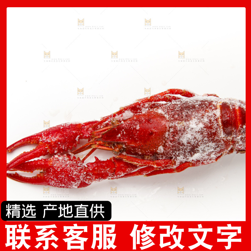 白底上的小龙虾