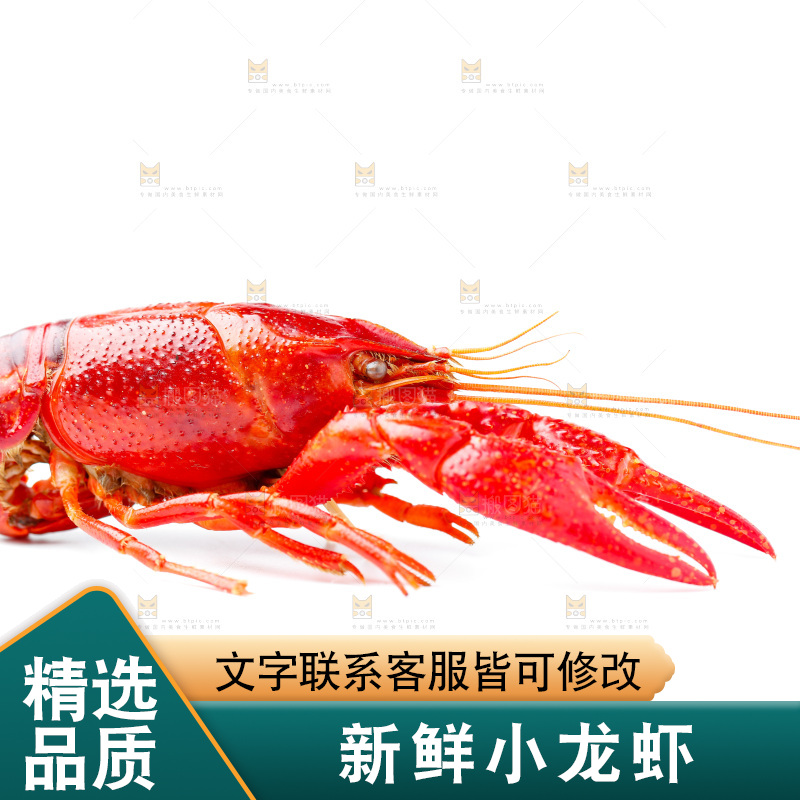 白底上放着秘制小龙虾