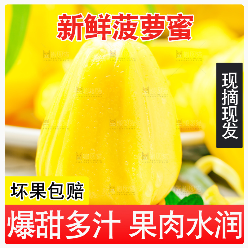 勺子里的黄肉菠萝蜜
