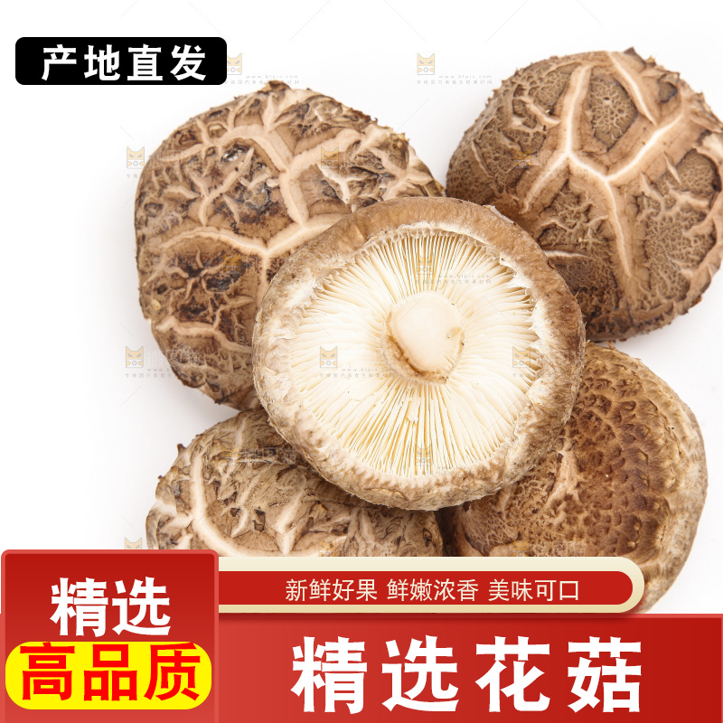 白底上放着花菇