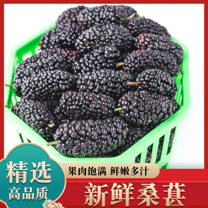 框子里装着新鲜桑葚