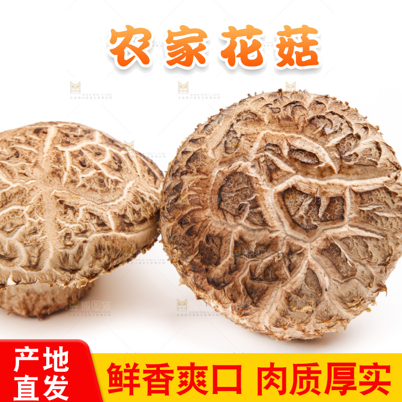 白底上放着花菇