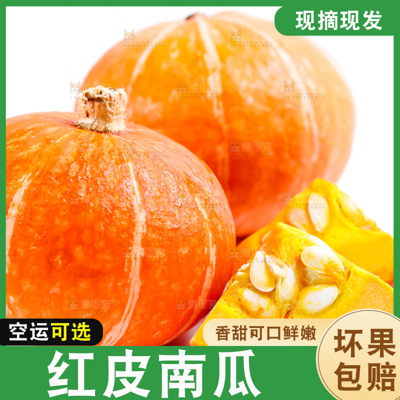 白底上摆放着红贝贝南瓜