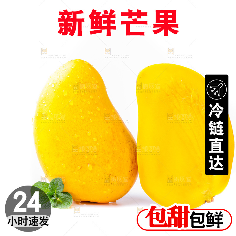 浅底上的海南小台农芒