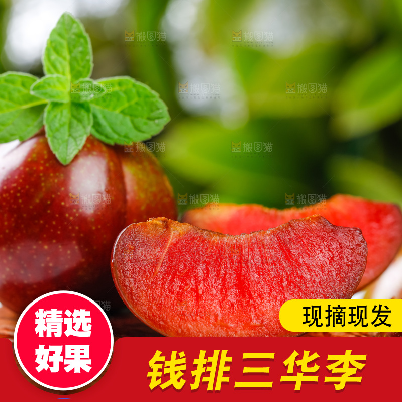 木底上摆放着红肉三华李