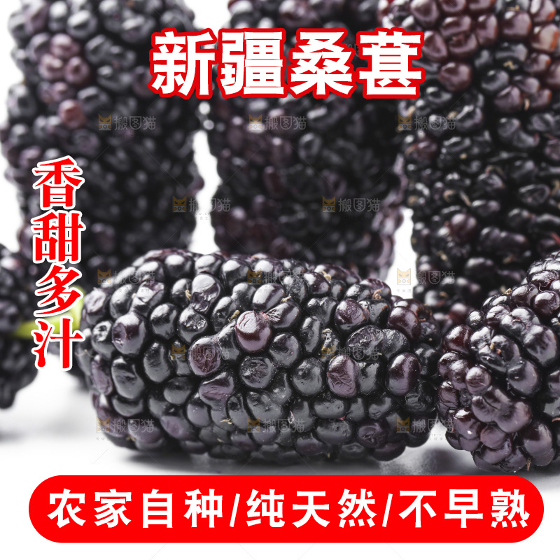 白底上摆放着桑葚