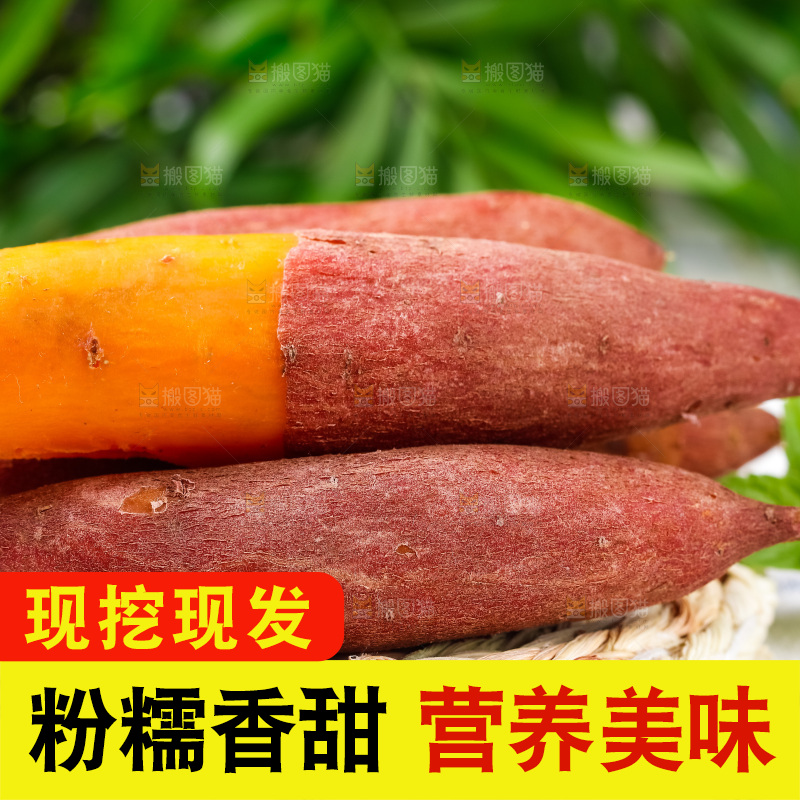 格子底上摆放着红薯