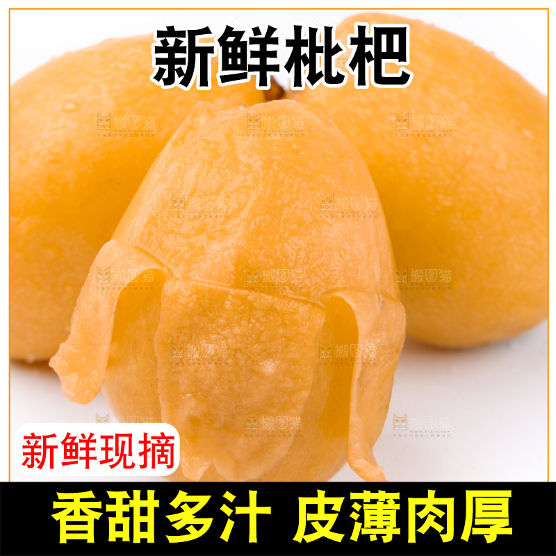 白底上放着新鲜枇杷