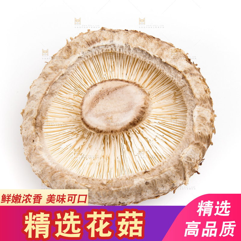 白底上放着花菇