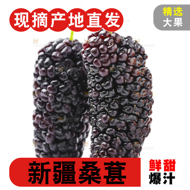 白底上摆放着桑葚