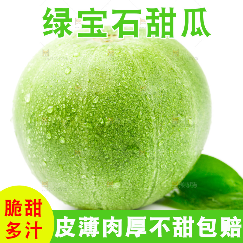 浅底上的山东绿宝石甜瓜