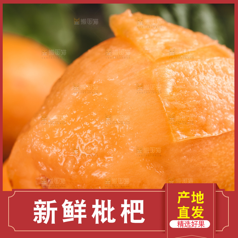 篮子里装着新鲜枇杷