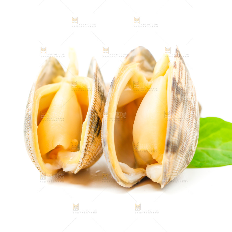 白底上放着蛤蜊