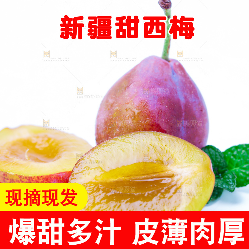 浅底上的新疆西梅