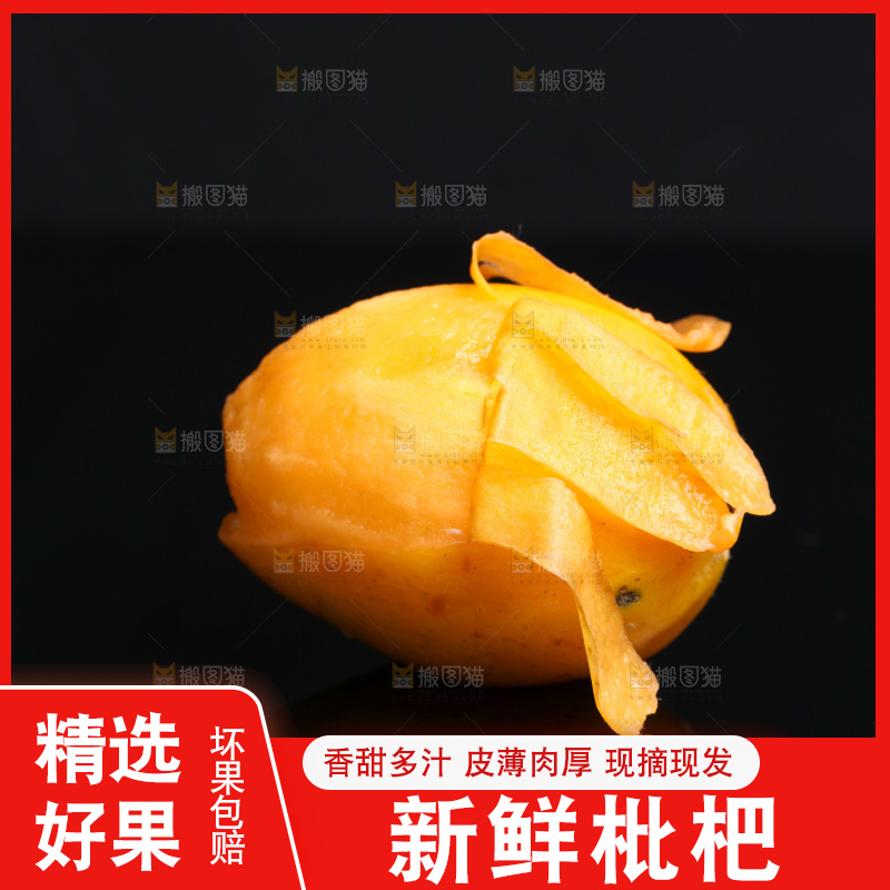 黑底上的米易枇杷
