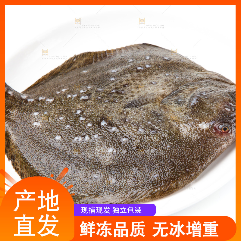 盘子里装着多宝鱼