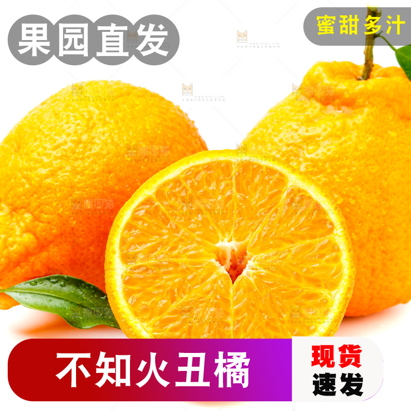 白底上的丑柑
