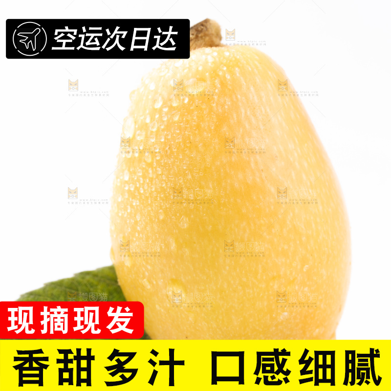 白底上放着枇杷