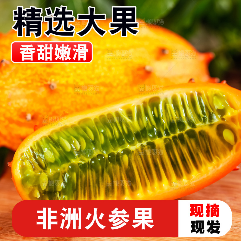 木底上摆放着海参果