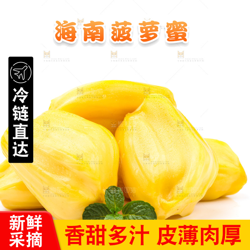 浅底上的海南菠萝蜜