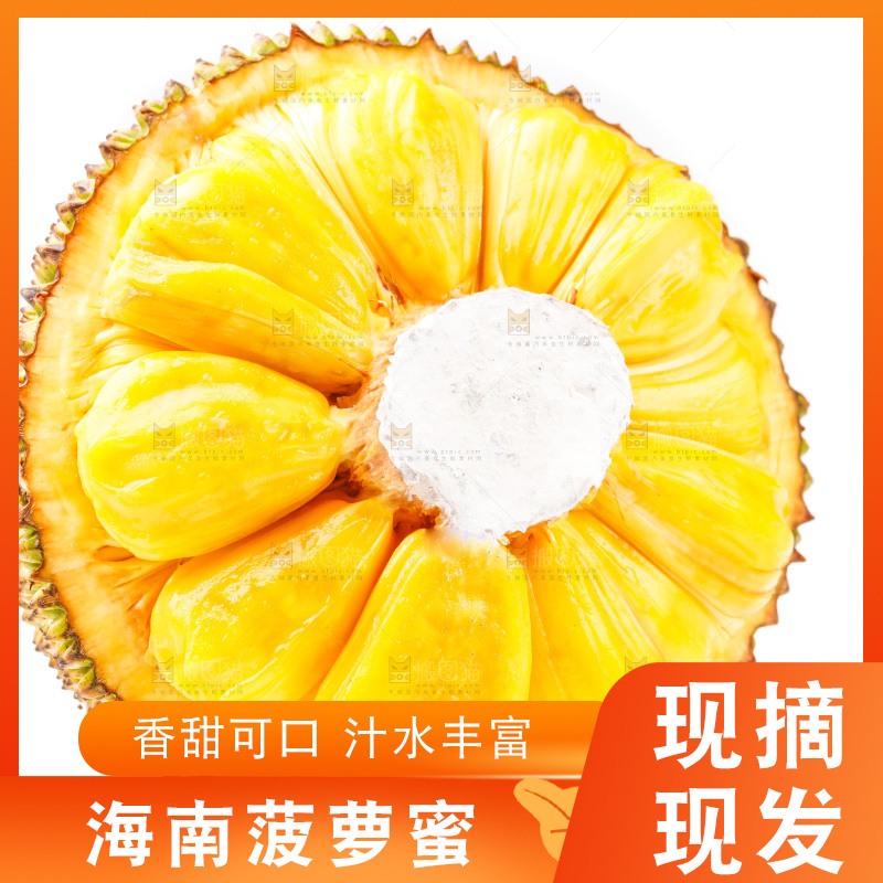 白底上的海南菠萝蜜