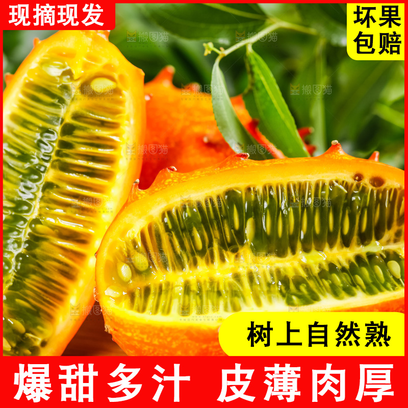 木底上摆放着海参果
