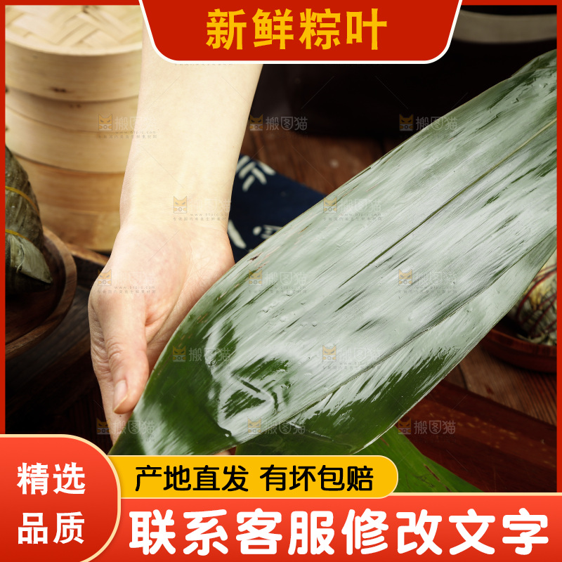 手里拿着天然粽子叶
